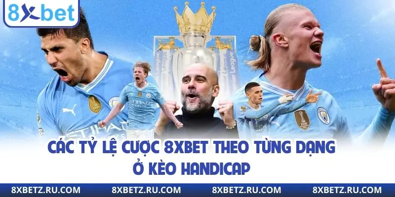 Các tỷ lệ cược 8xbet theo từng dạng ở kèo handicap