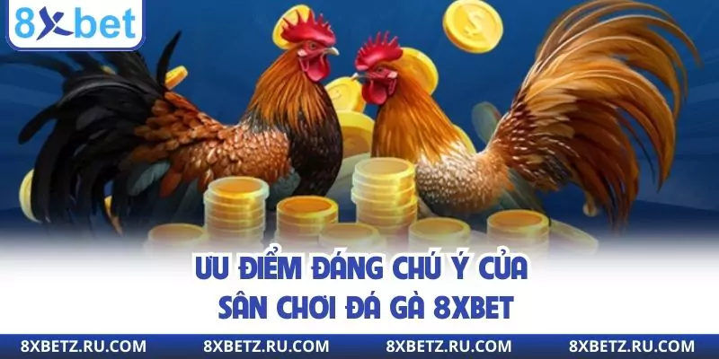 Ưu điểm đáng chú ý của sân chơi đá gà 8xbet